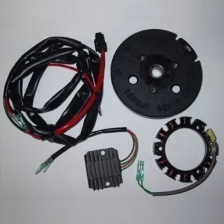 Yamaha Set Elektrike F4/f5/f6