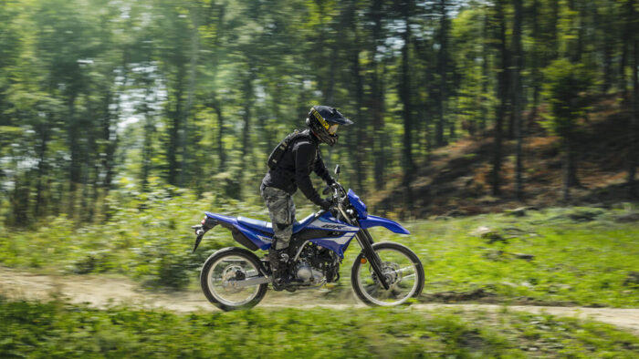 Yamaha WR125R 2026 pri vožnji skozi gozdno pot v naravi